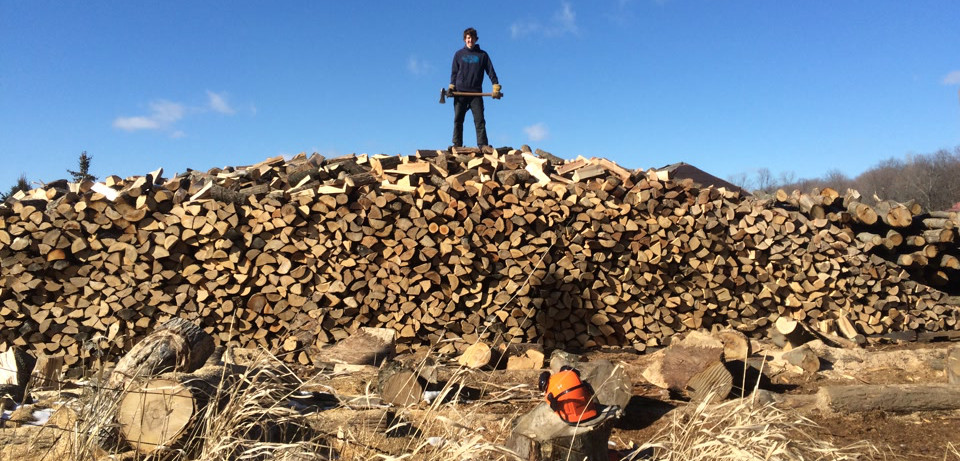A person standing on a large pile of stacked firewood holding an axe